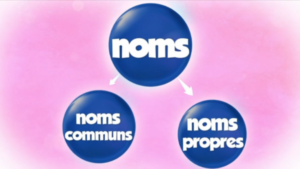Le nom et le groupe nominal