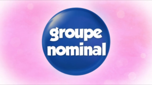 Le nom et le groupe nominal
