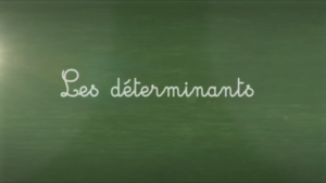 Les déterminants