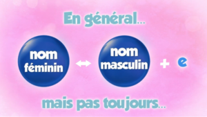 Le féminin des noms