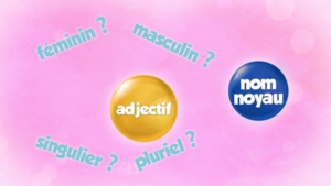 L’accord en genre de l’adjectif dans le groupe nominal
