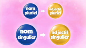 L’accord en nombre de l’adjectif dans le groupe nominal